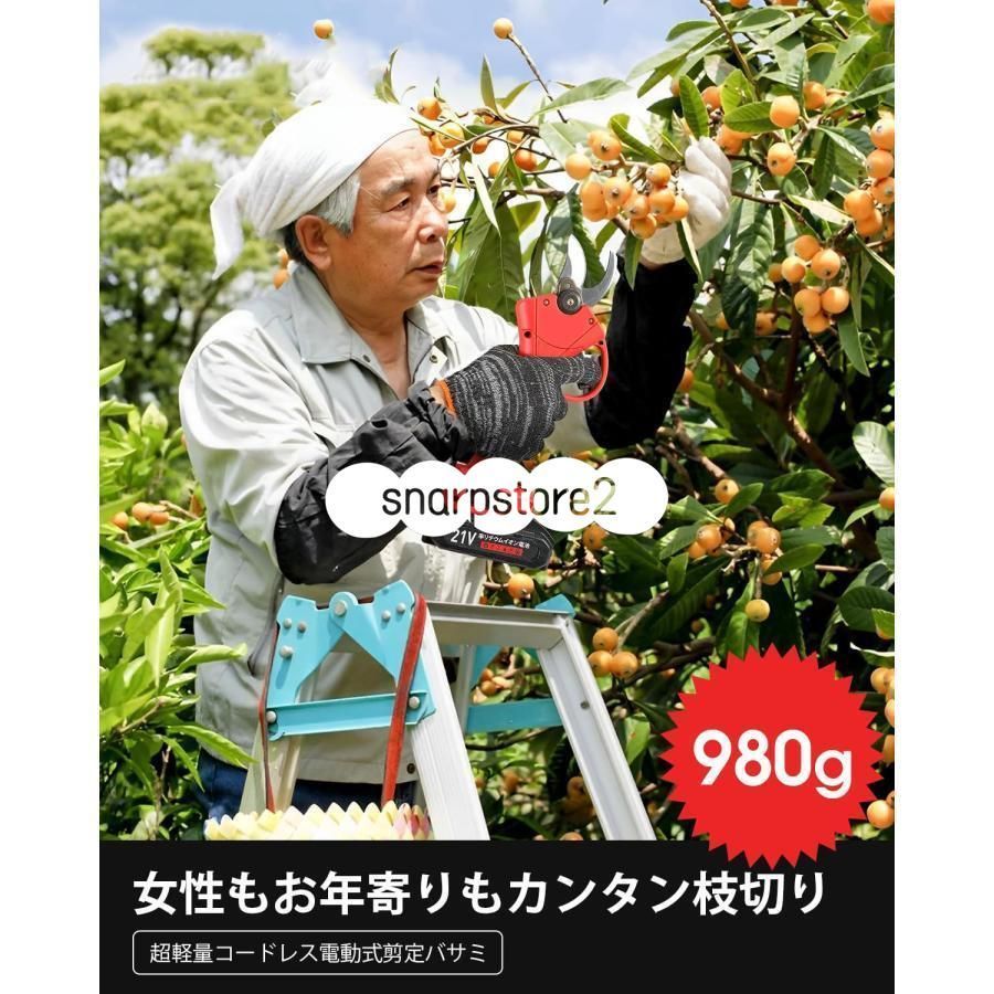 剪定鋏 2025改良モデル