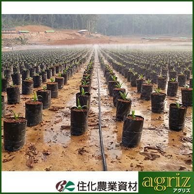 潅水チューブ スミサンスイ 潅水チューブ 住化農業資材 スミサンスイ マーク2 100m巻 孔径0.3mmφ 潅水チューブ 灌水チューブ