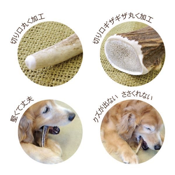  セット ペッツルート ベニソンアントラー LLサイズ 犬用おもちゃ その他 ペット用品