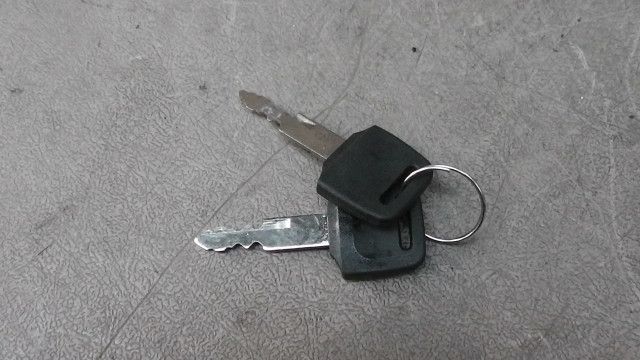専用 出品 Amazon | バイクパーツセンター(Bike Parts Center) ライブDio