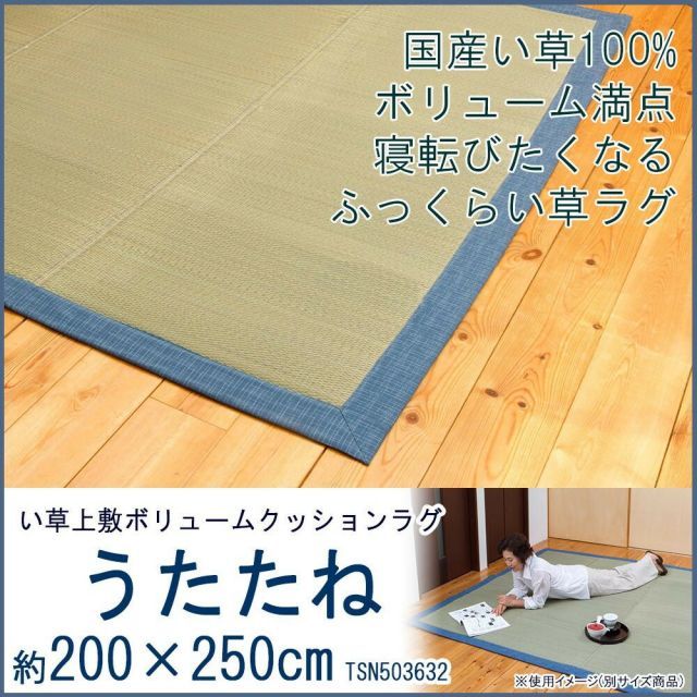 必要な い草上敷ボリュームクッションラグ うたたね 約200×250cm TSN503632