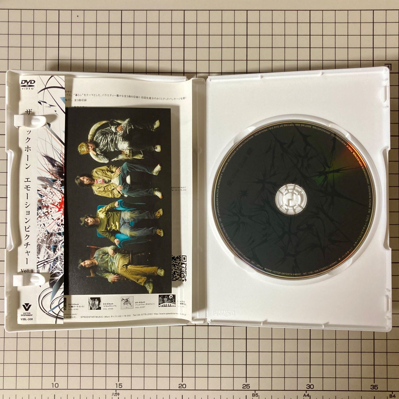5枚セット】THE BACK HORN DVD ザ・バックホーン - メルカリ