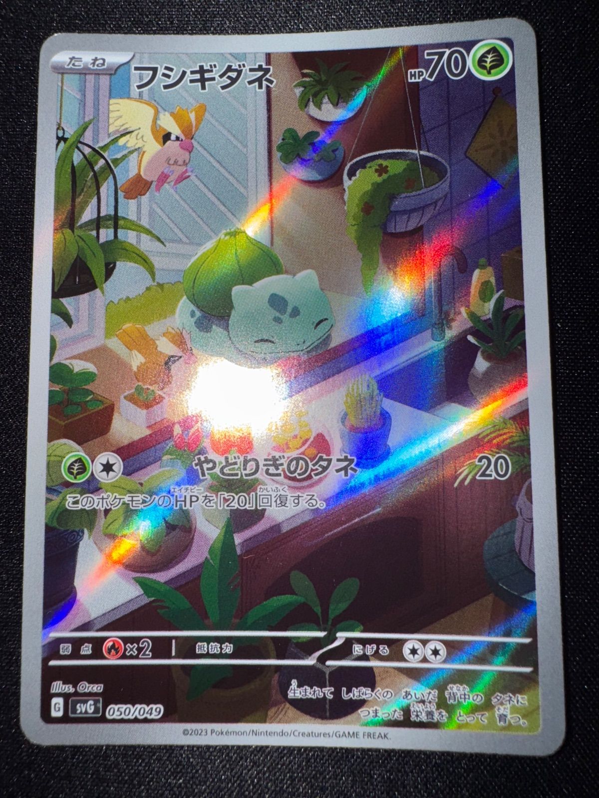 ポケモンカード ヒトカゲ＆ゼニガメ＆フシギダネ AR 3種セット