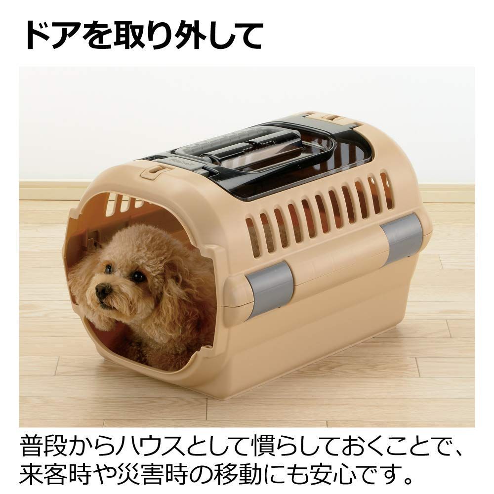 アイボリー