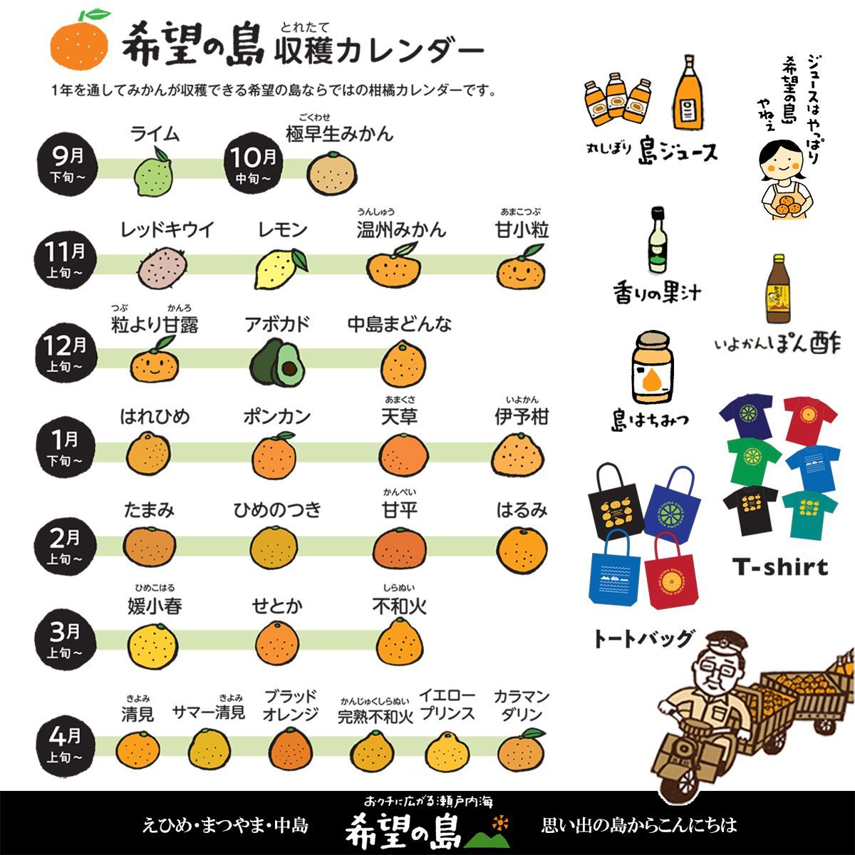 希望の島 国産フィンガーライム 50g 家庭用 小玉 愛媛 中島産 メルカリ