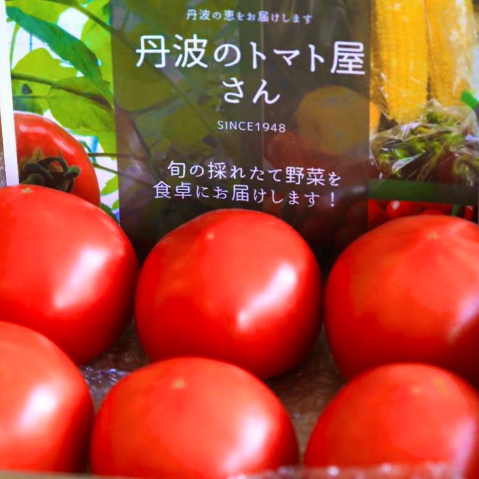 完熟桃太郎ファイトトマト❣️甘くてやみつきになる美味さ❣️80サイズ❣️クール便発送❣️