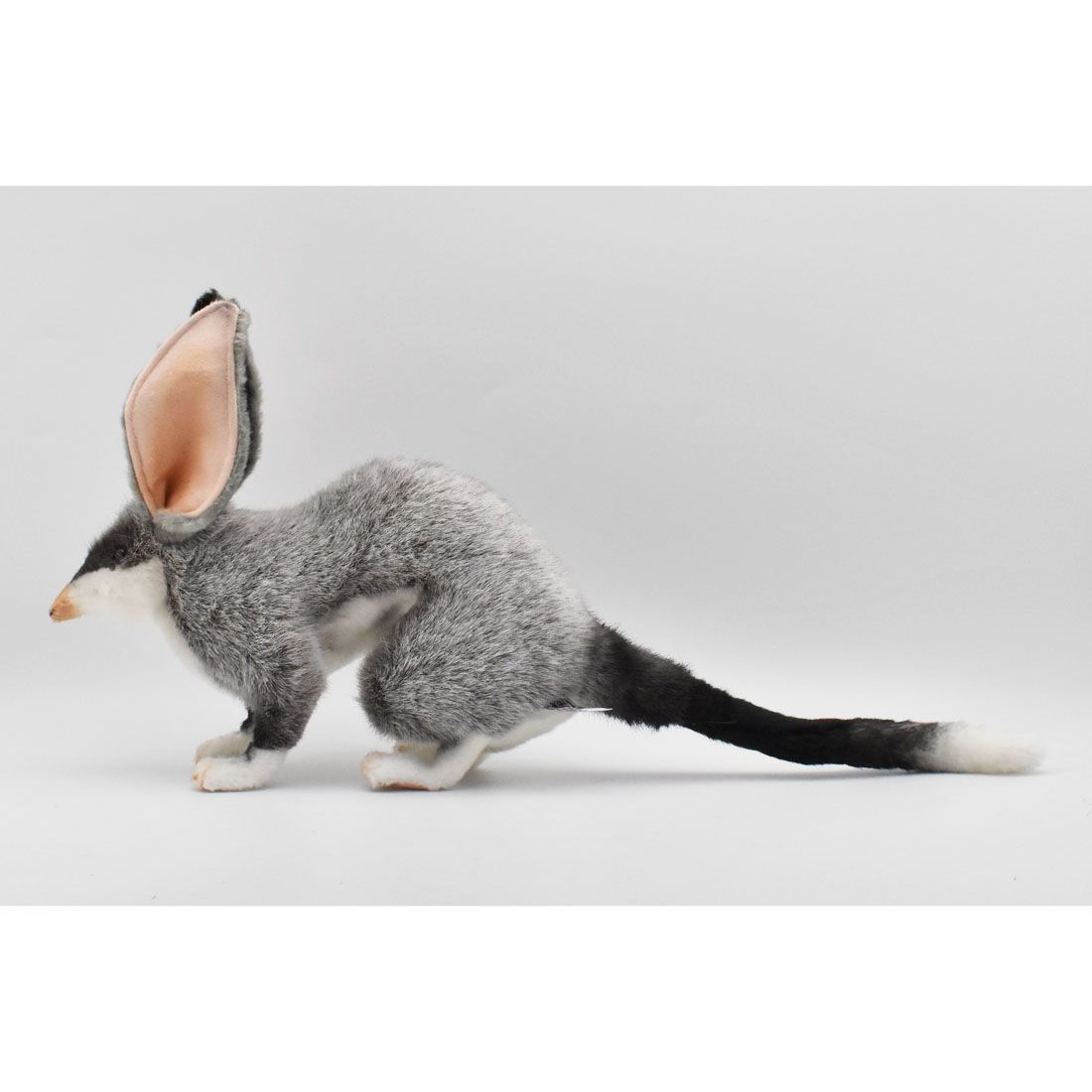 HANSA 7445 ビルビー 30cm BILBY オーストラリア固有種 BH7445
