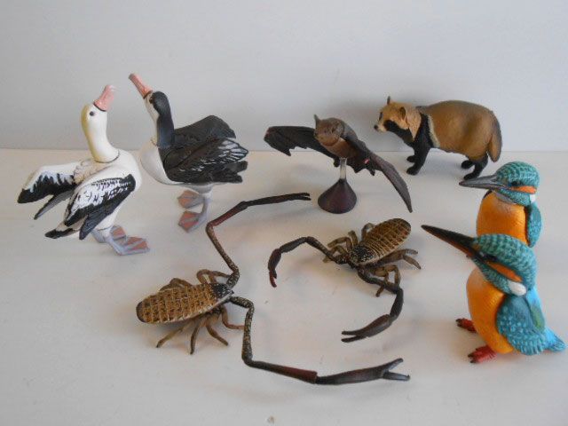 ♯Jvi12HJカプセルQ日本の動物コレク3東京巨大都市と離島全12種