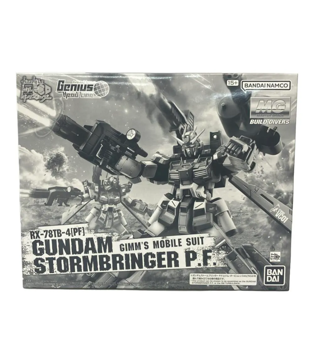 2025年最新】MG 1/100 ガンダムストームブリンガー P.F.の人気アイテム