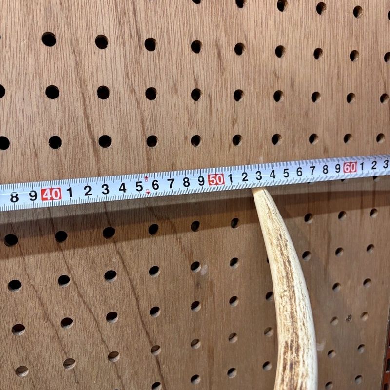 入手困難⭐︎ハンティングトロフィー　陶器製　鹿　角　オブジェ 鹿の角 頭付き 全長約65cm 壁掛け ウォールデコレーション