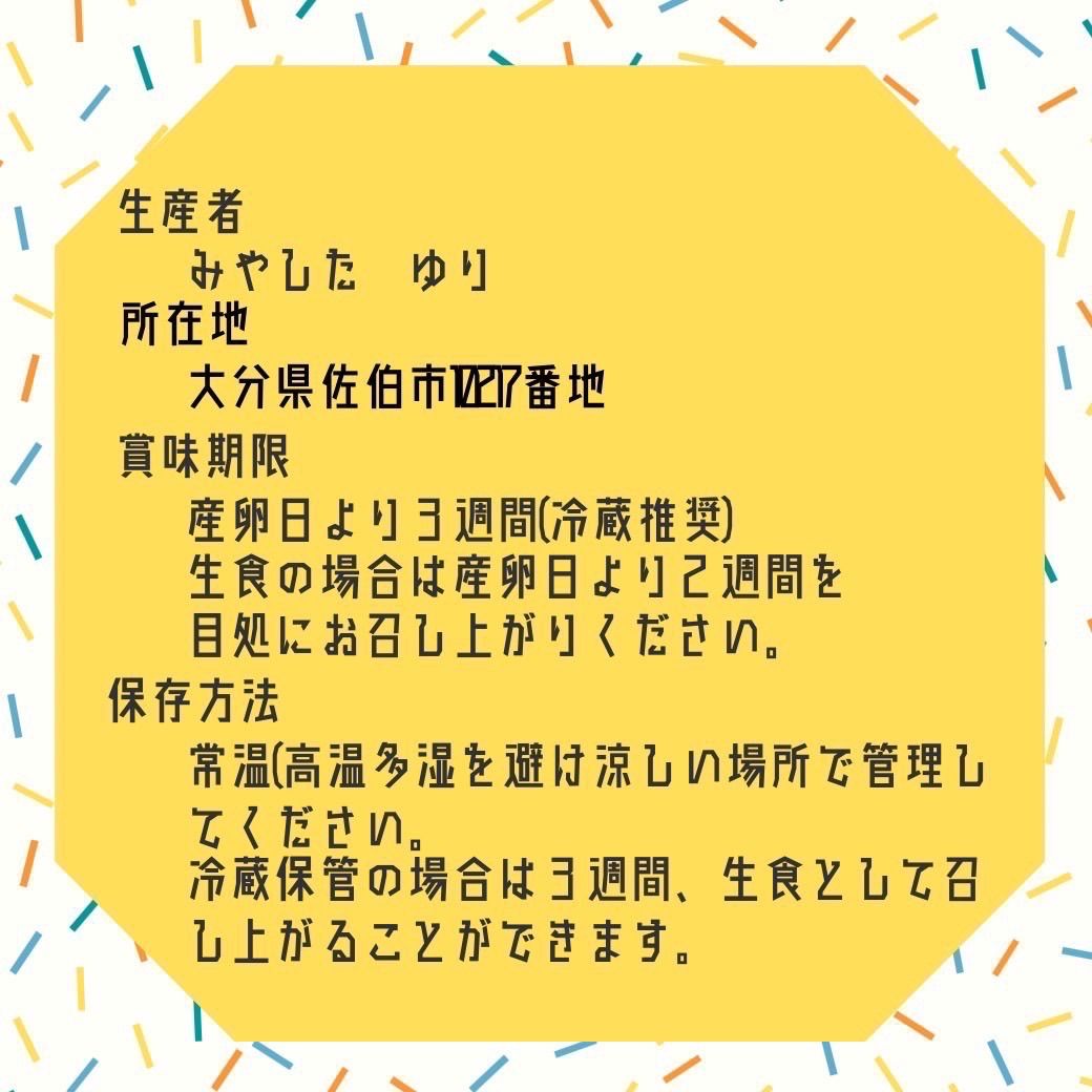 平飼い卵20個 クール便配送 新品 クール便🥚20個🥚エサ