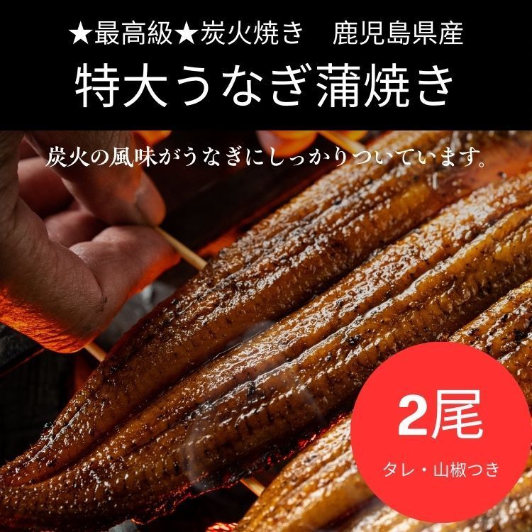 鹿児島県産うなぎ蒲焼き ２尾セット 約420g タレ 山椒付き 炭火焼き 手焼き