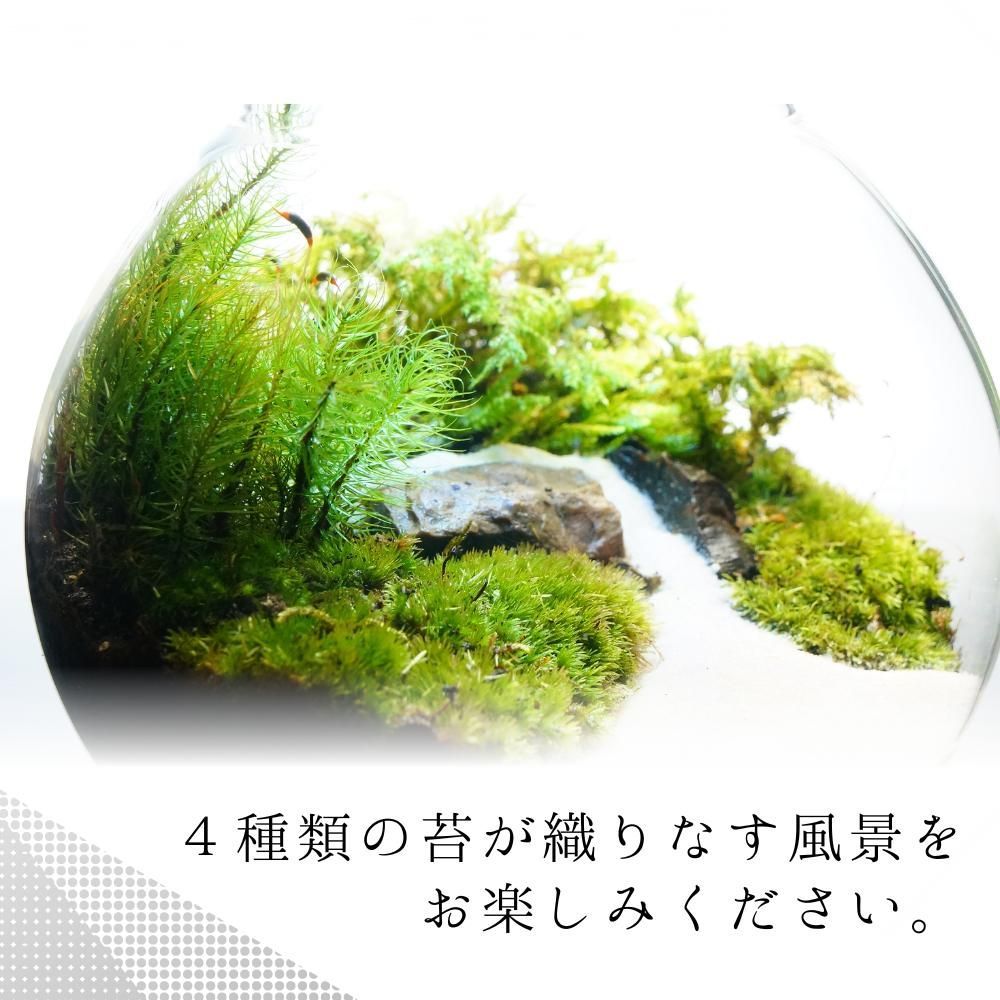 14cm LEDライト付