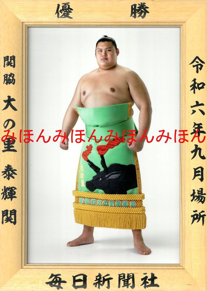 大関 稀勢の里 平成29年1月場所 優勝額(ミニチュア) 大関 稀勢の里 平成29年1月場所 優勝額(ミニチュア) 額縁