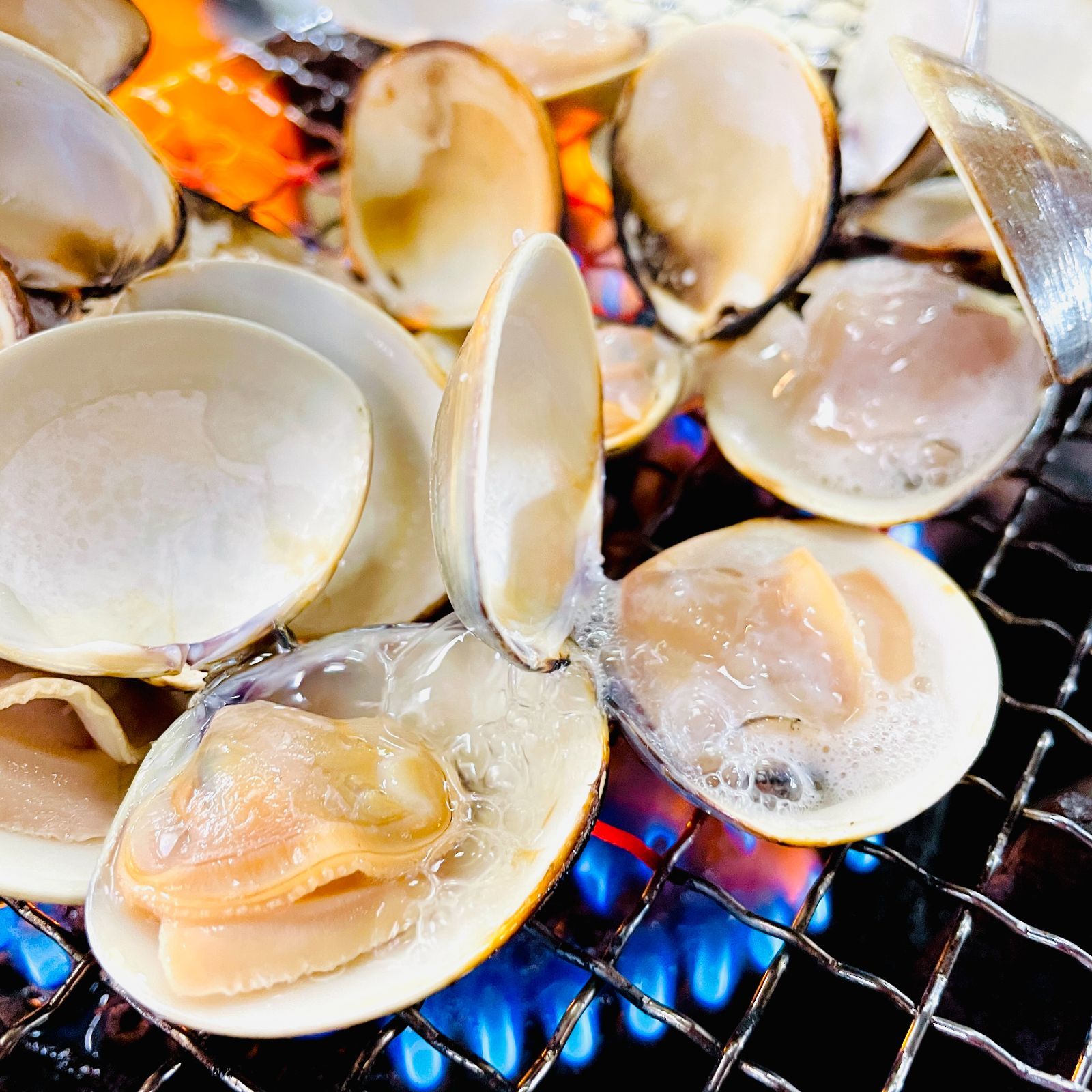 殻付はまぐり L サイズ １ｋｇ(500g ×２PC)  約22～30個入り☆BBQに！