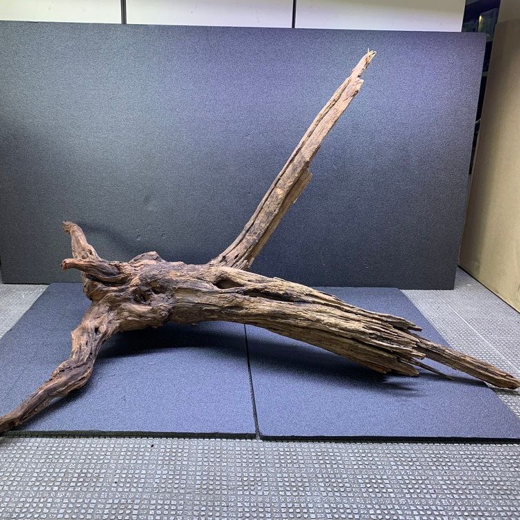 大型 流木 自然の物 大型 流木 自然の物