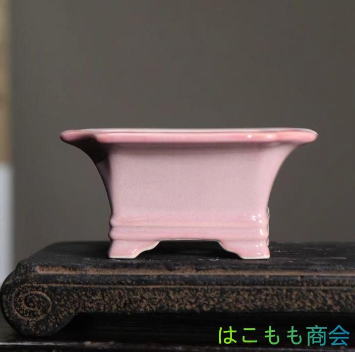 多肉植物鉢 盆栽鉢 植木鉢 小品盆栽鉢 大品盆栽鉢