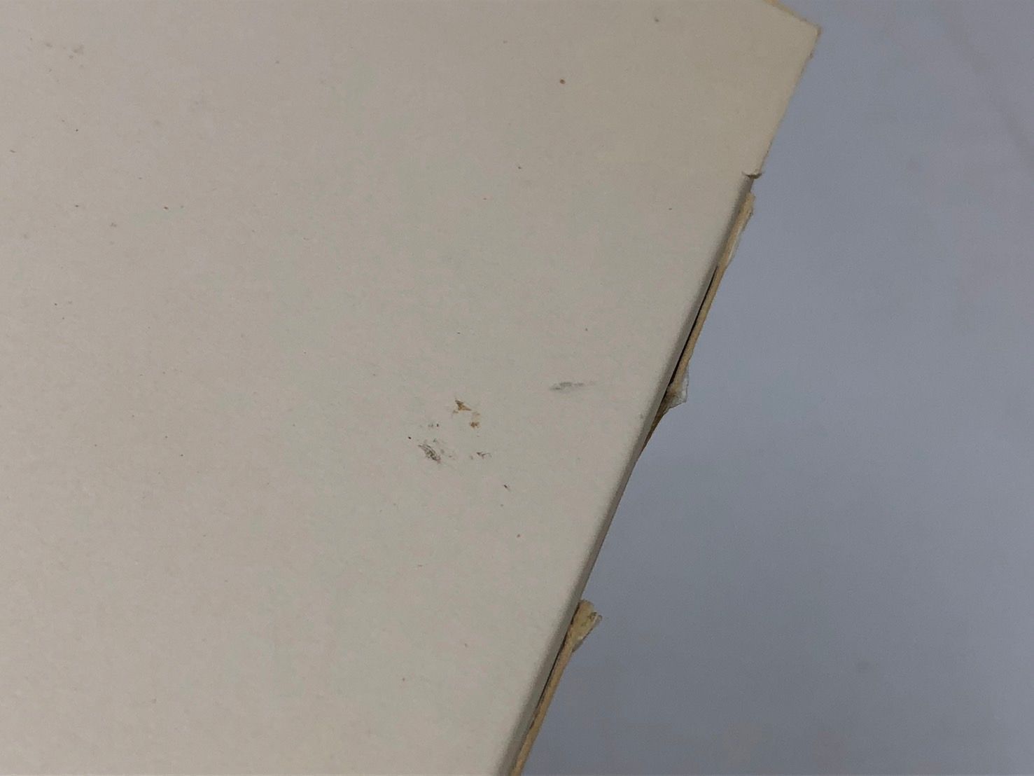 ◆Finalmouse ゲーミングマウス NinjaAir58 ◆18765 WWW_OLIVIERBERNSTEIN_COM