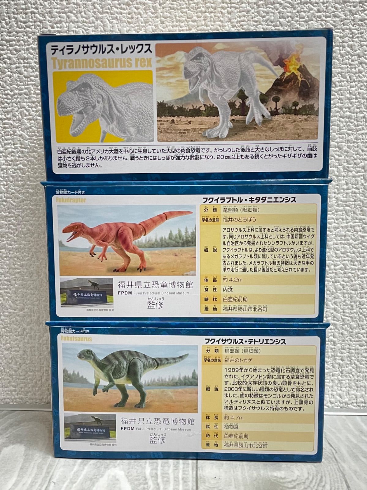 ティラノサウルス・レックス(幼体・ブラック)