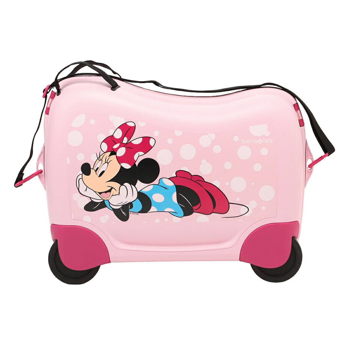 前田常作 直筆サイン『紫陽花の図』リトグラフ＆シルクスクリーン 0829M 前田常作 直筆サイン『紫陽花の図』リトグラフ＆シルクスクリーン 0829M