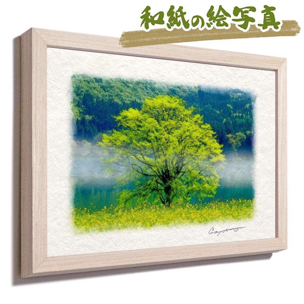 和紙の絵写真 「朝霧のニッコウキスゲの湿原」 パネル付き 48x33cm