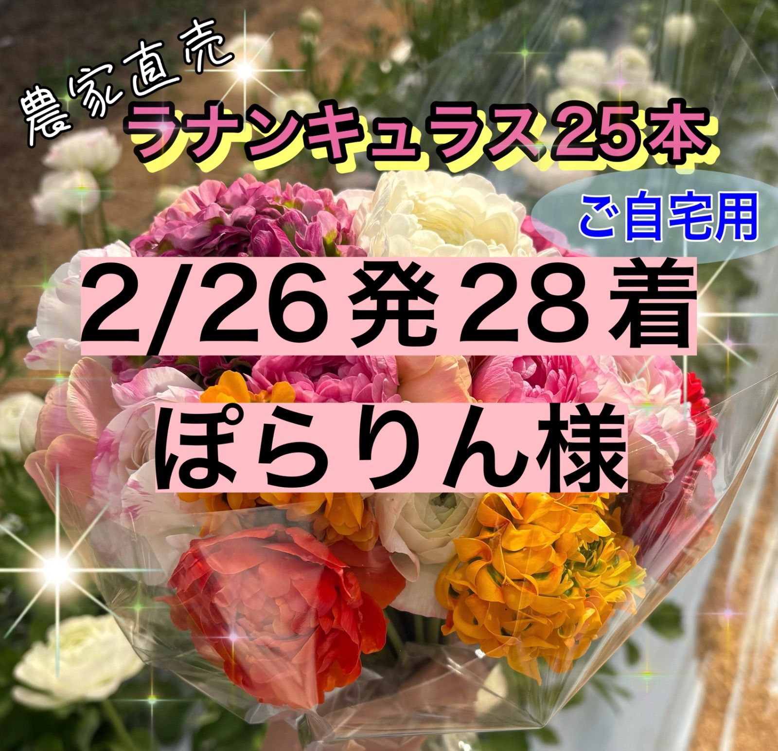 ラナンキュラス25本