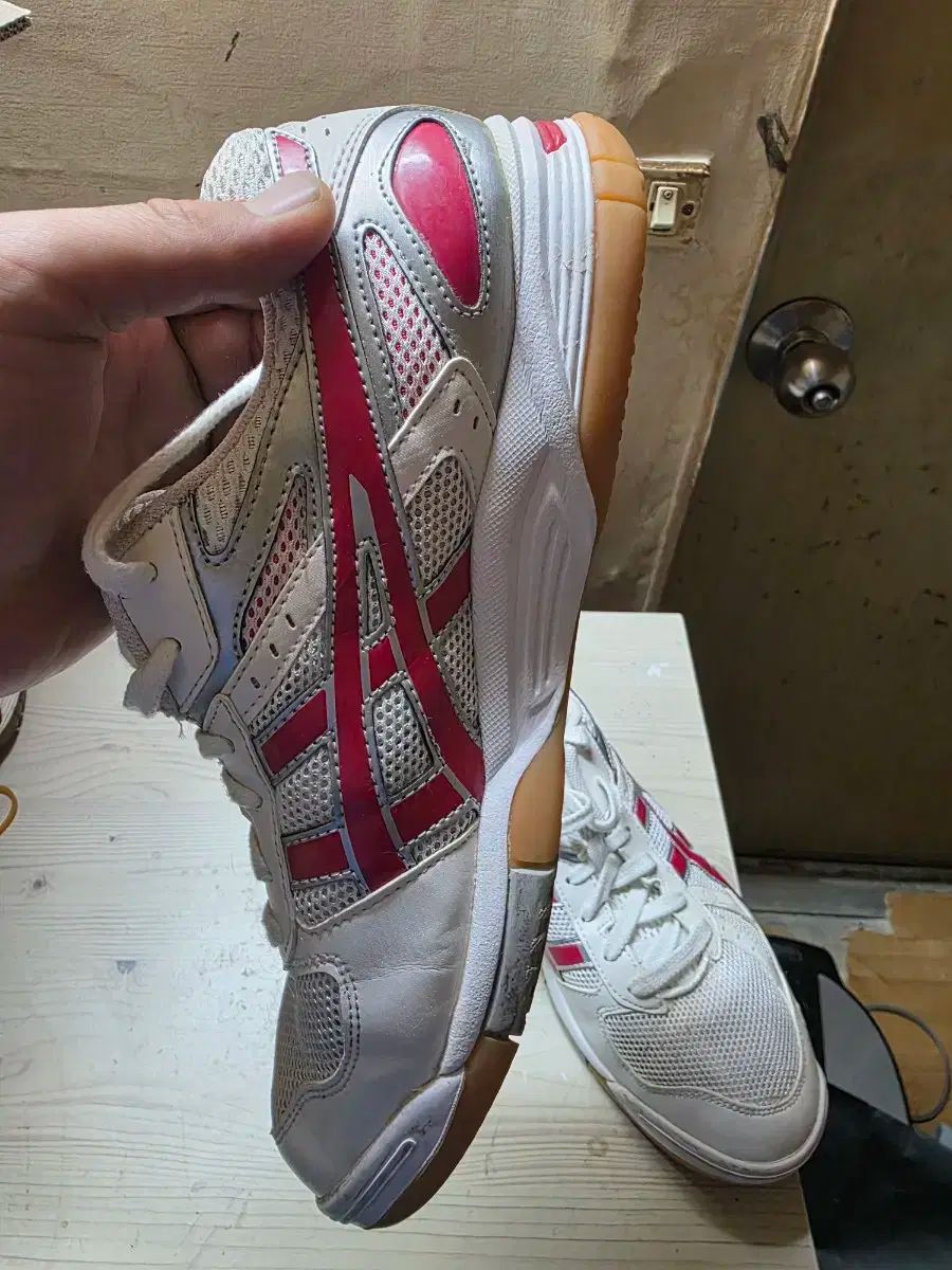  asics アシックス 宝くじ fl 5 バレーボール バドミントン スポーツ大学入試 260 mm その他 バドミントン