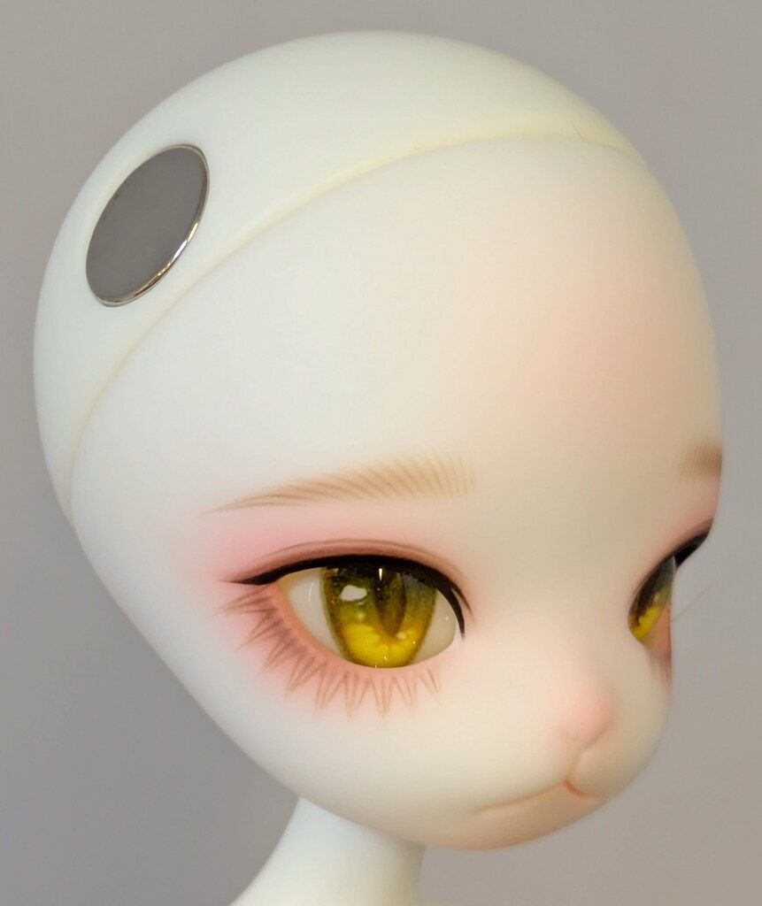 DOLK×DOLL ZONE
