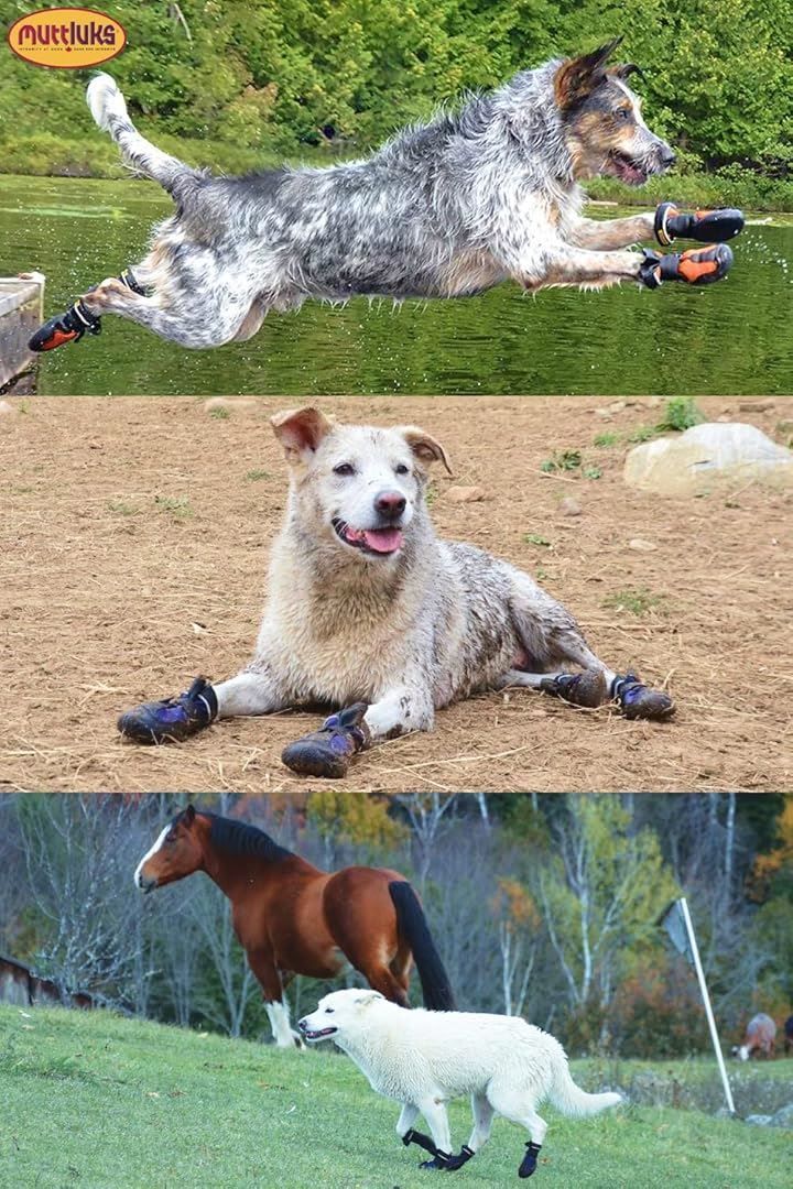  Muttluks マッドモンスターズ 犬 靴 脱げない 履かせやすい 丈夫で柔らかい靴底 獣医師推薦 夏 1足 入り グレー 5号 S-M 8.3 - 8.9 cm ドッグシューズ 靴下 犬服 アクセサリー