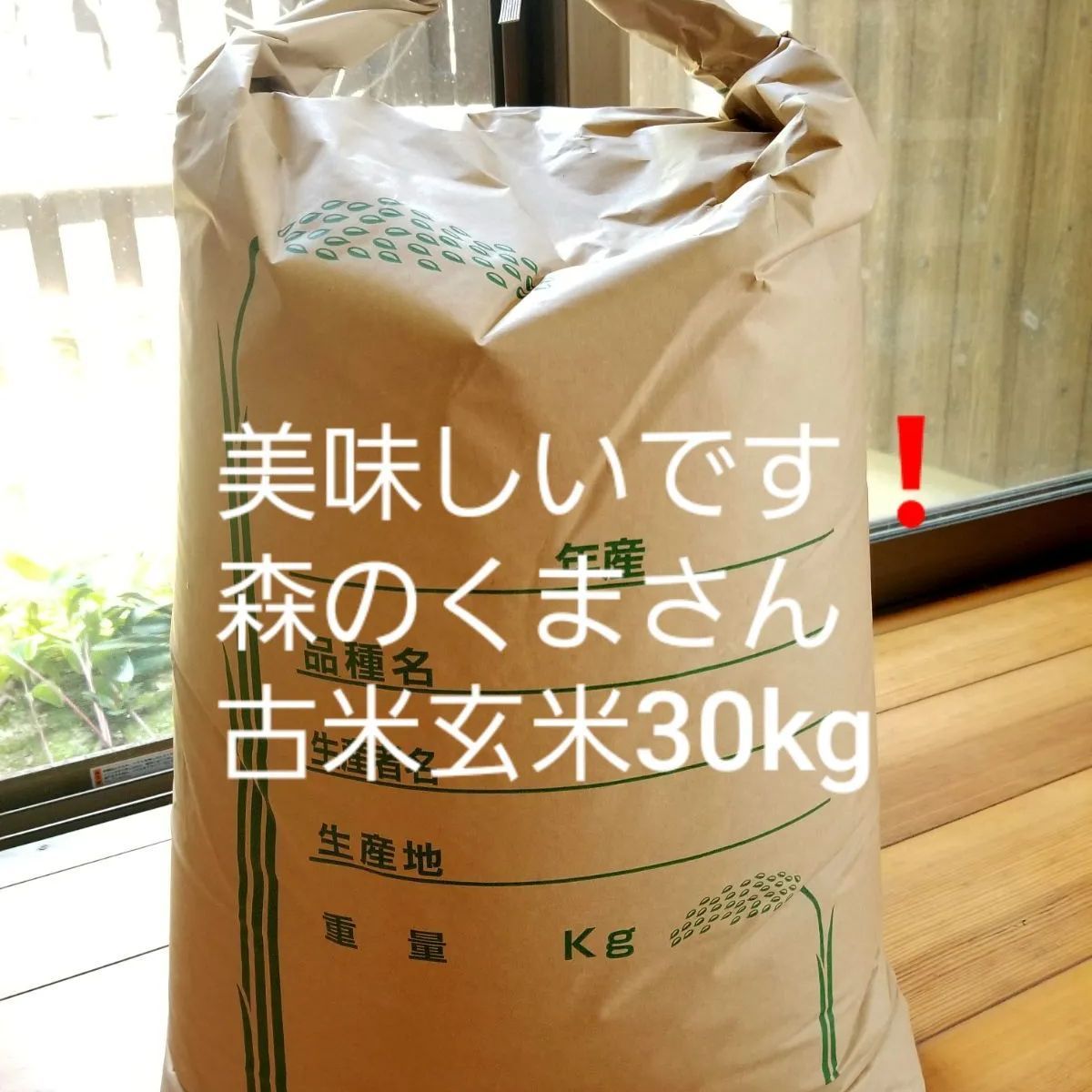 令和6年新米 玄米30kg コシヒカリ 淡路島産：兵庫県産のお米