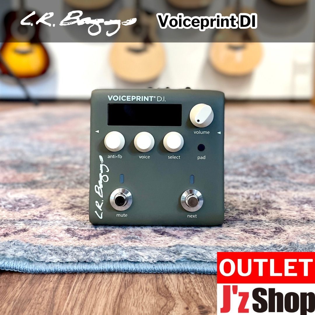LR.Baggs VOICEPRINT DI エレアコ用（ヒラマミキオ氏 & Voiceprint DI 