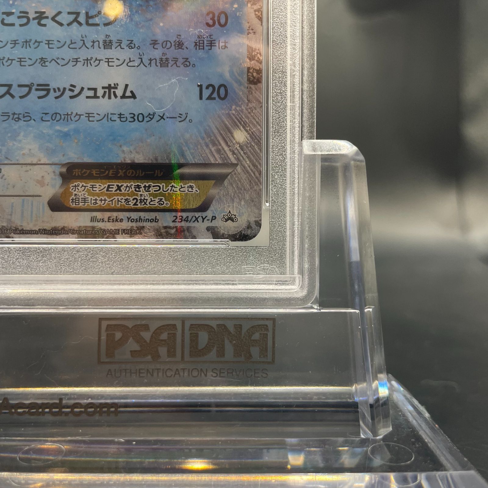 ☆PSA10☆カメックスEX PROMO 234/XY-P - メルカリ