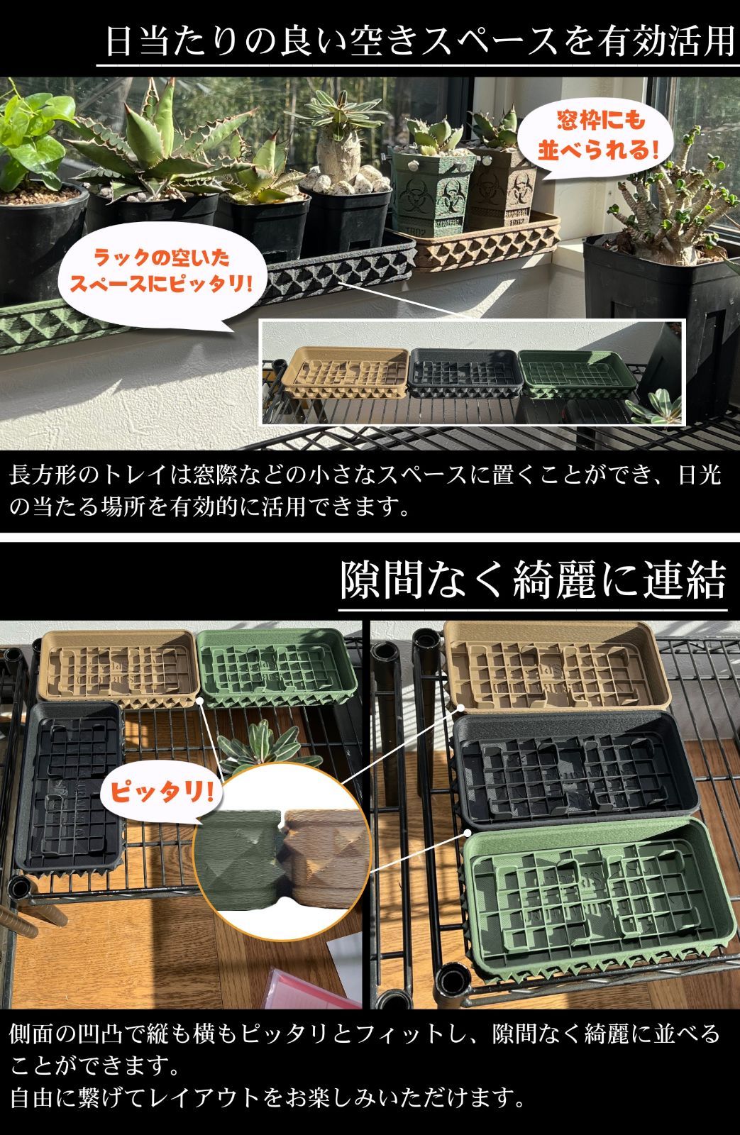 チタノタ