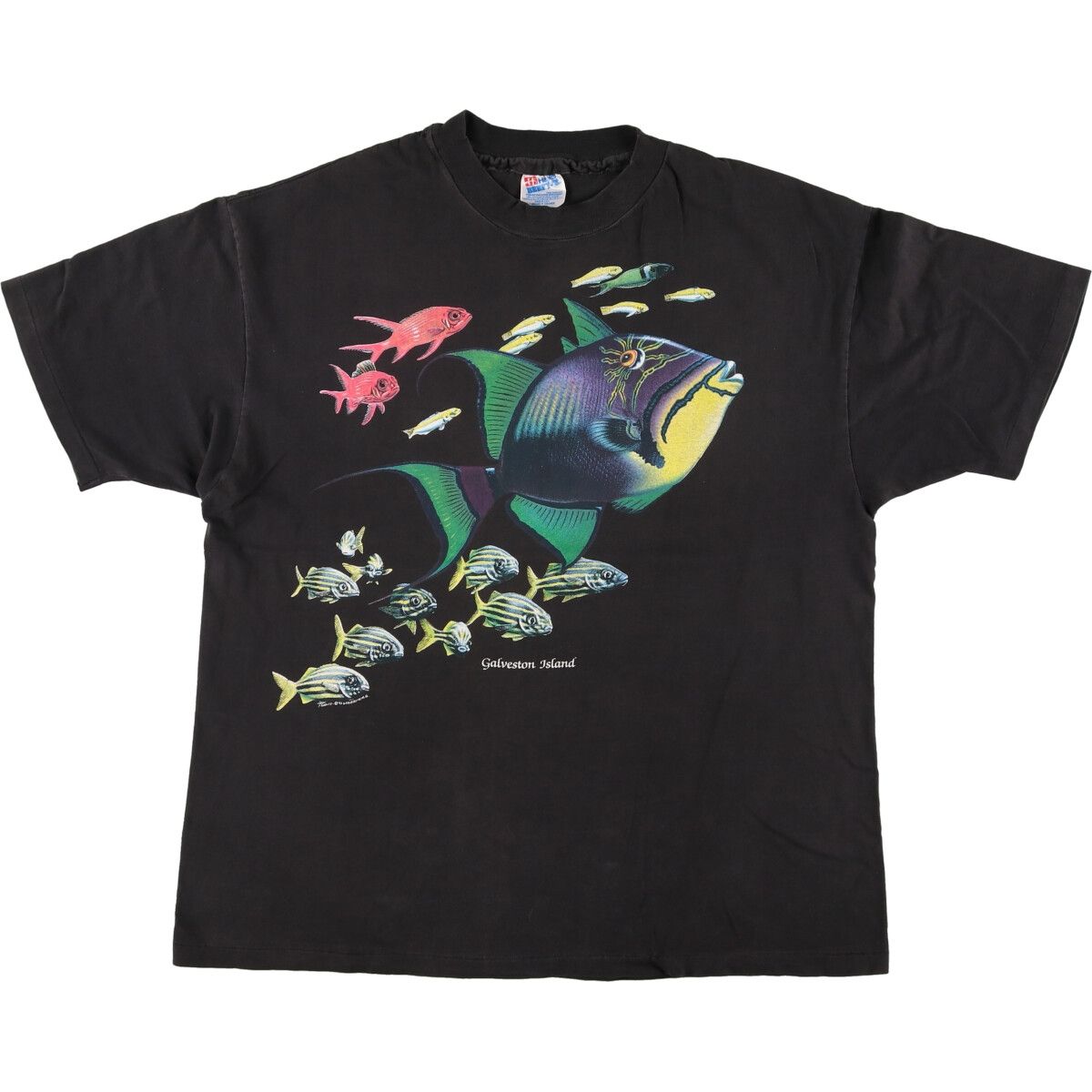 古着 90年代 ヘインズ Hanes 魚柄 アニマルTシャツ USA製 メンズXL相当 ヴィンテージ/eaa469281