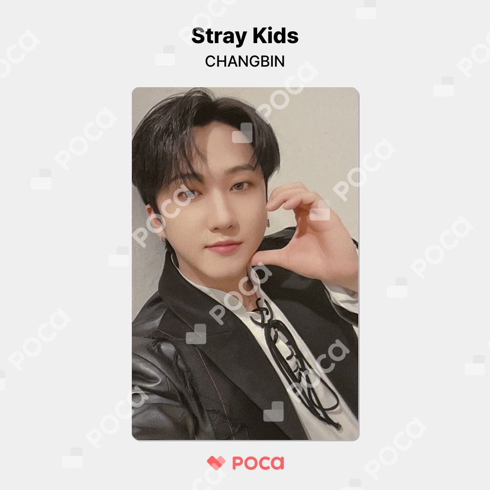 straykids チャンビン スキズ トレカ Stray Kids 2nd World Tour
