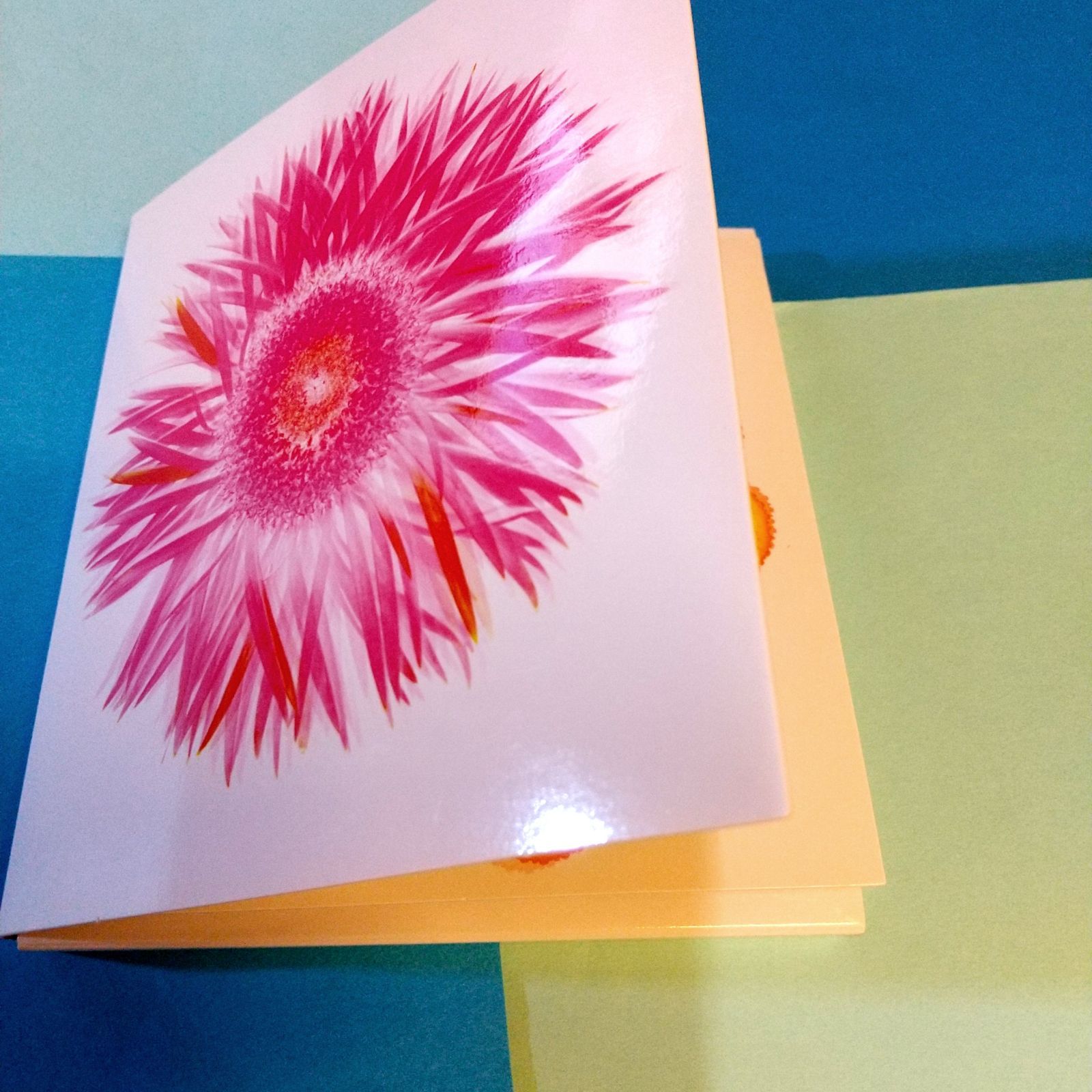 SPEED/MOMENT～THE BEST ALBUM🌼スピード ベストアルバム🌼 - メルカリ