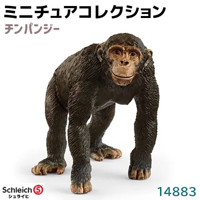 スペシャル特典 シュライヒ フィギュア チンパンジー 14883 Schleich 4.7×8.3 その他