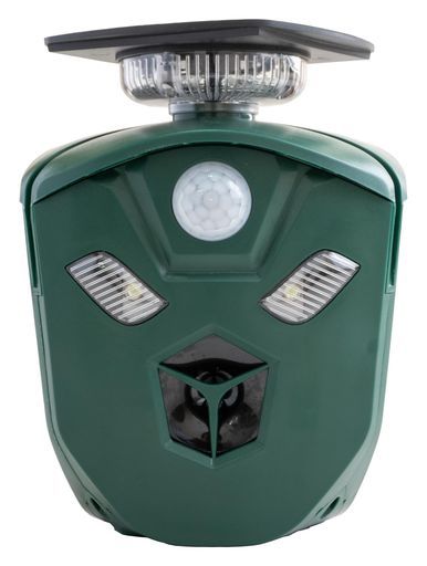 2025年最新】春田 サインの人気アイテム - メルカリ 激レア！りぼん