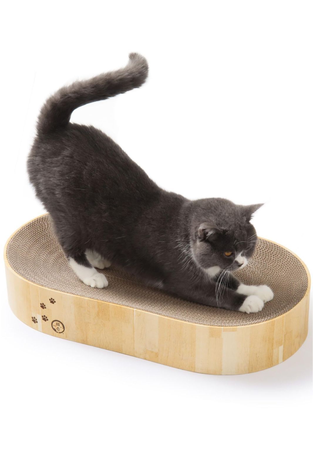 Yuria様専用セルキスシリーズ4品＆ケアリングローション＆フェイス