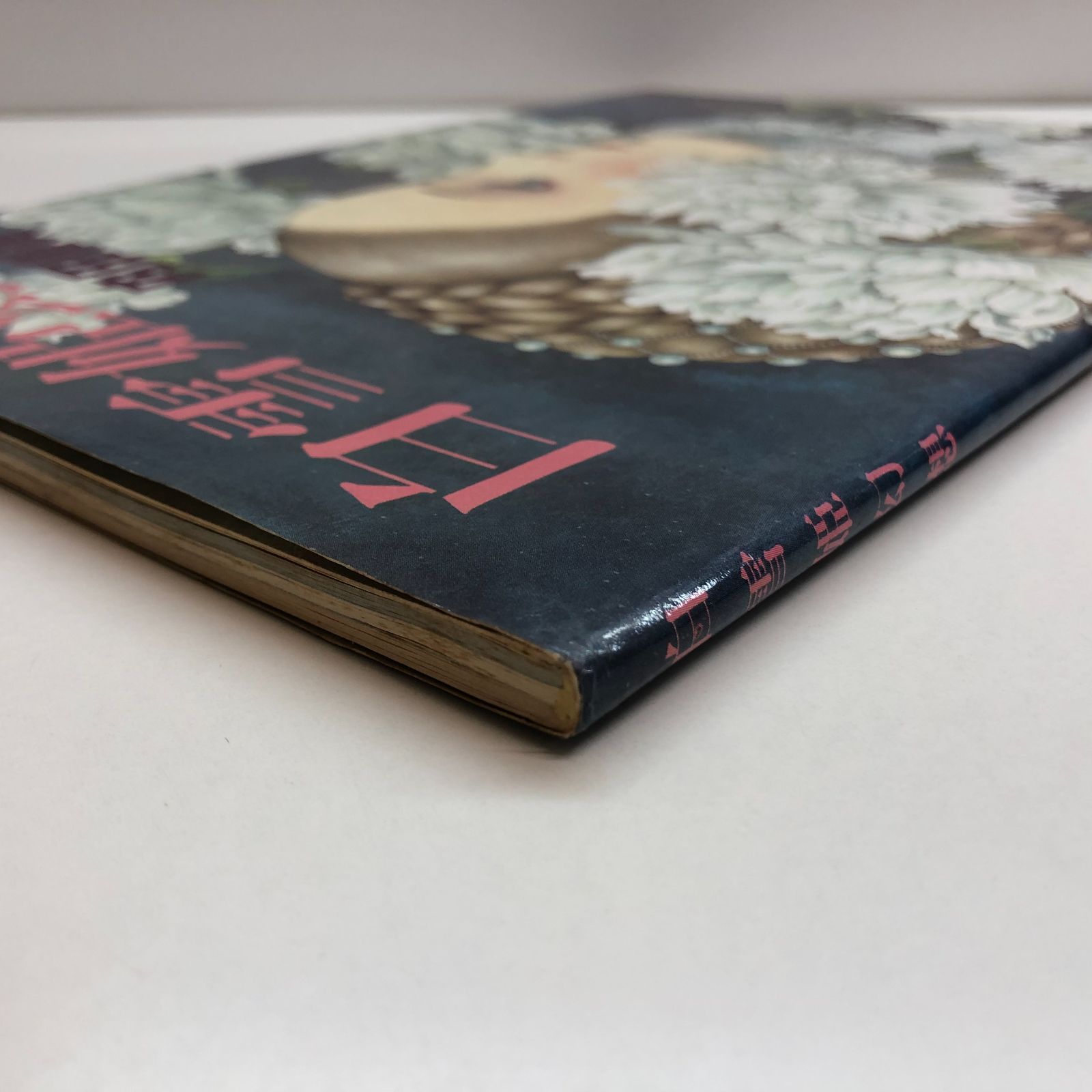 N]白雪姫幻想 内田善美 少年たちの記憶 > 単行本 > 内田善美作品