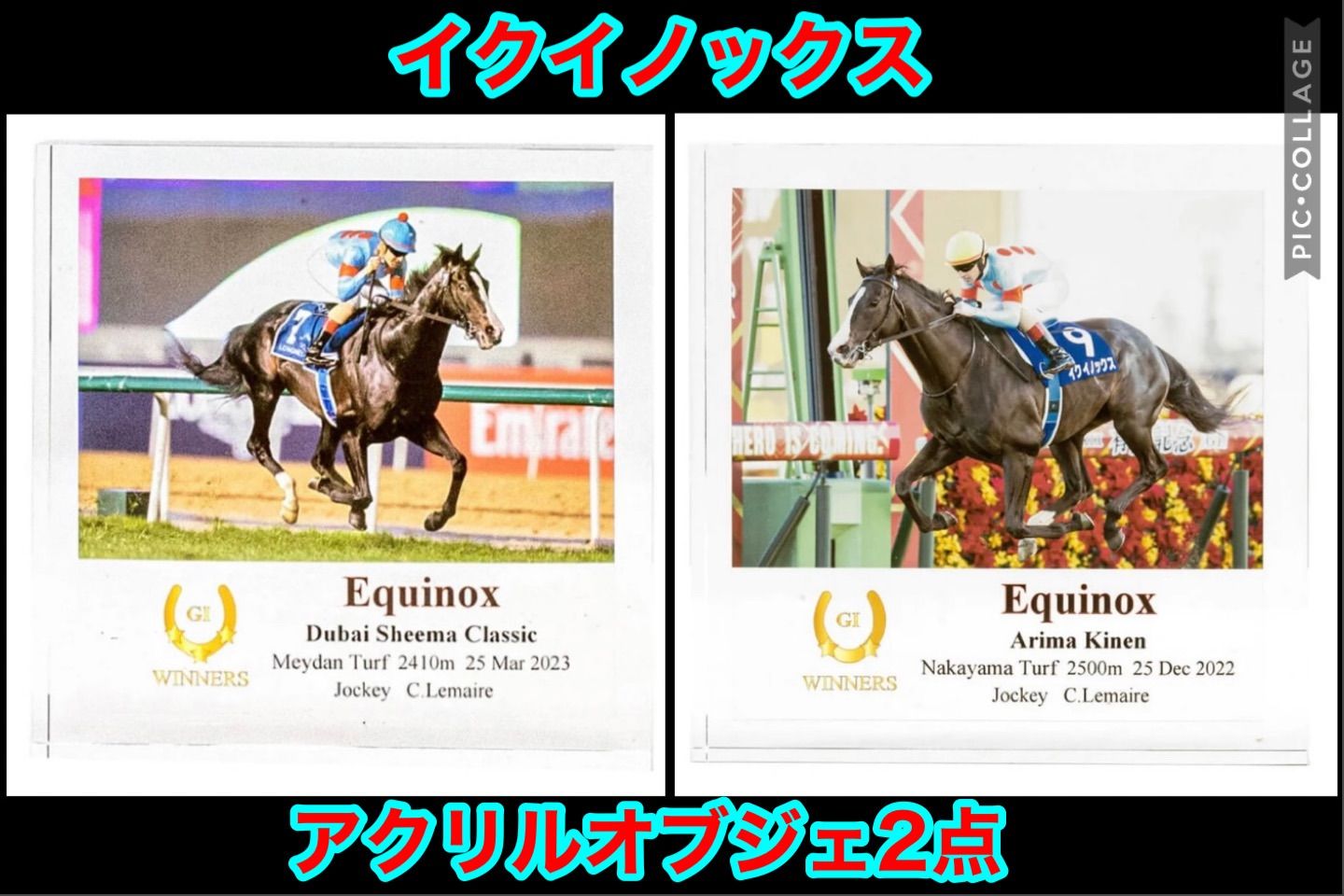 限定製作 イクイノックス アクリルオブジェ 有馬記念 JRA 競馬 ウマ娘 ...