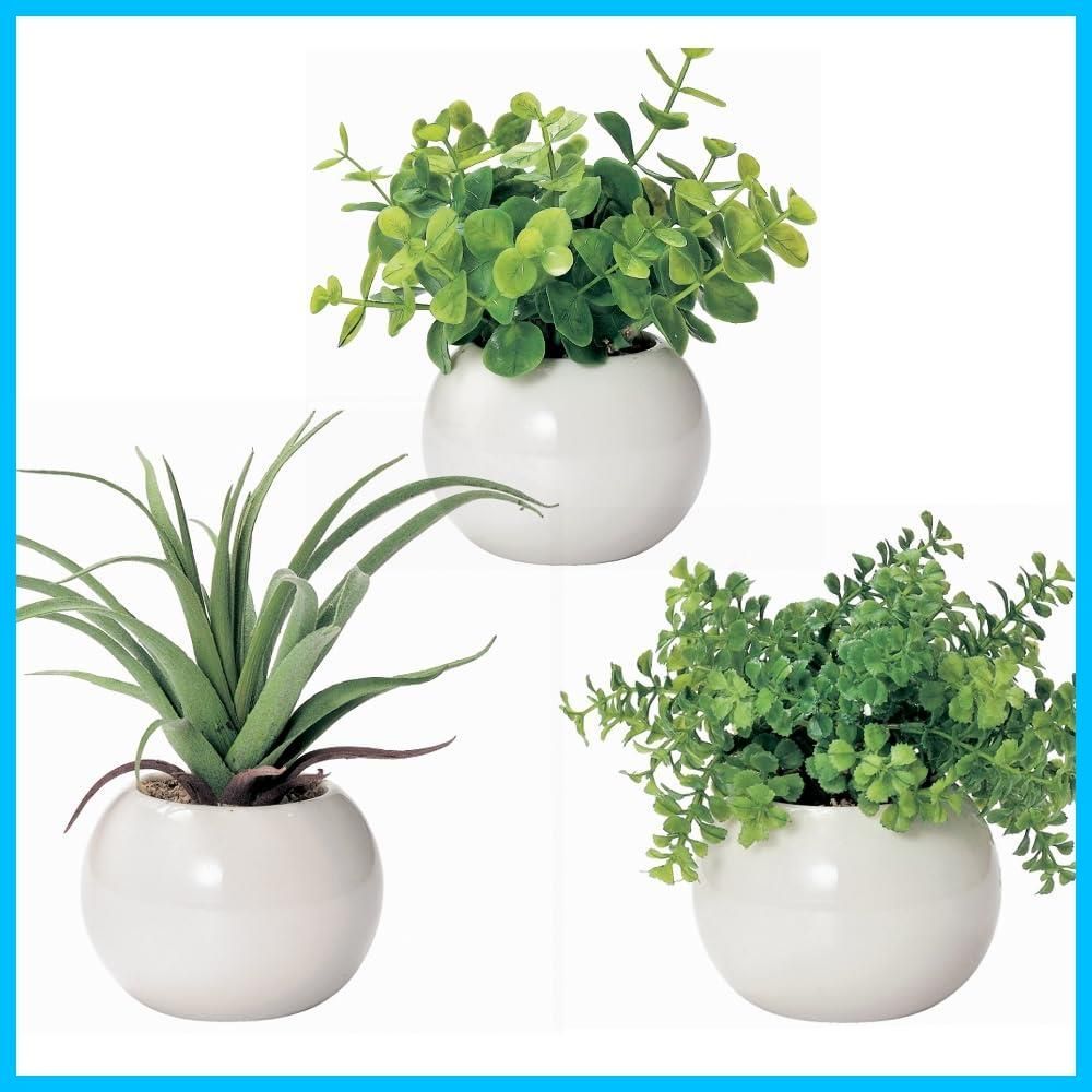 抗菌 防カビ 消臭 フェイクグリーン 3点セット ユーカリ エアプランツ ファンシェイプ グリーン 光触媒 インテリア グリーン フルタック Fultac 造花 観葉植物