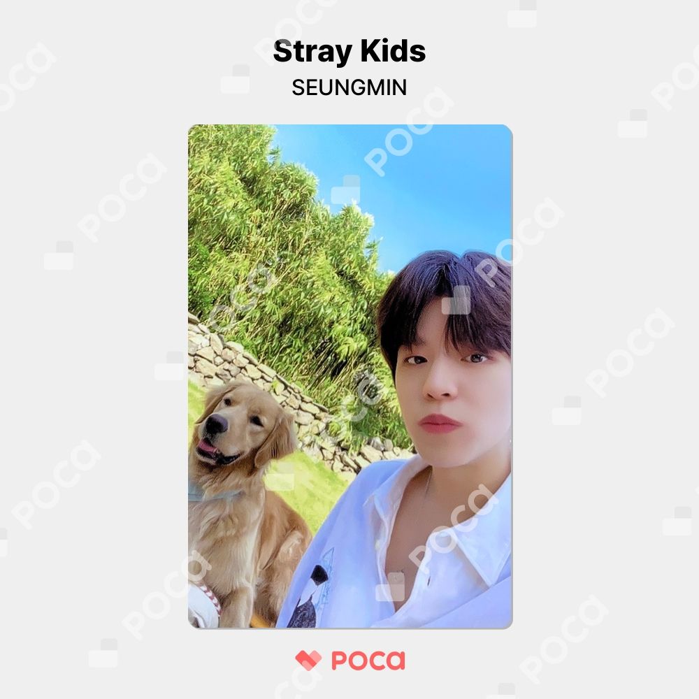 StrayKids スンミン　トレカ　Stay in STAY in JEJU StrayKids トレカ STAY in STAY jeju スンミン - メルカリ