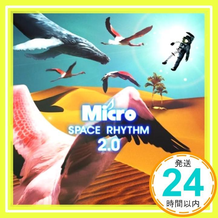 SPACE RHYTHM 2.0 CD Micro_03