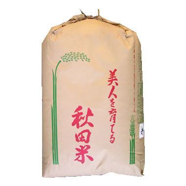 玄米 30kg 令和6年産 新米 あきたこまち 1等 秋田県産JAうご