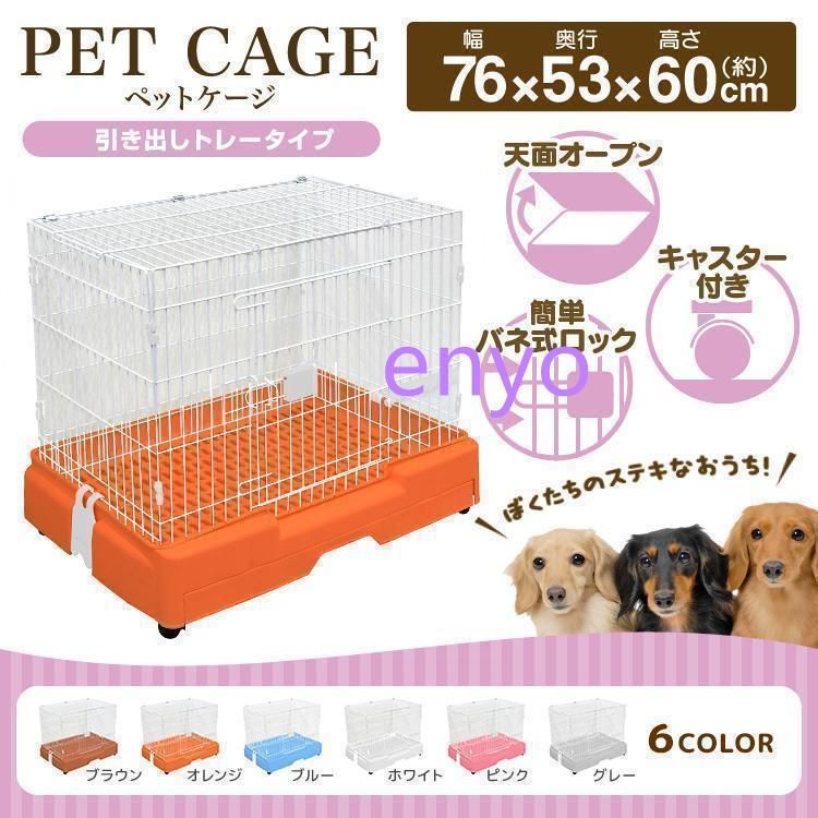 モルモット 猫