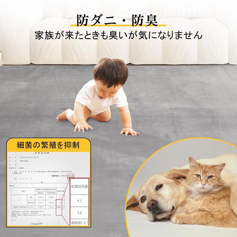 じゅうたん 190x240cm