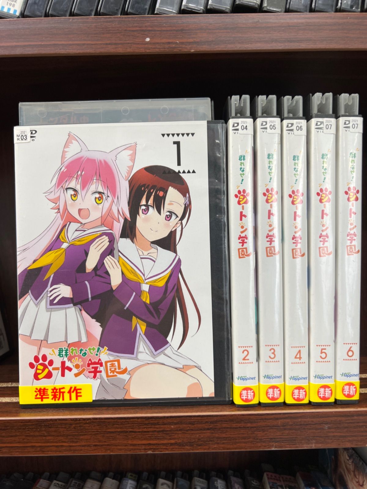 全巻セット【中古】DVD▼群れなせ!シートン学園(6枚セット)第1話～第12話 最終 レンタル落ち 2025年最新】Yahoo!オークション -群れなせ!シートン学園の中古