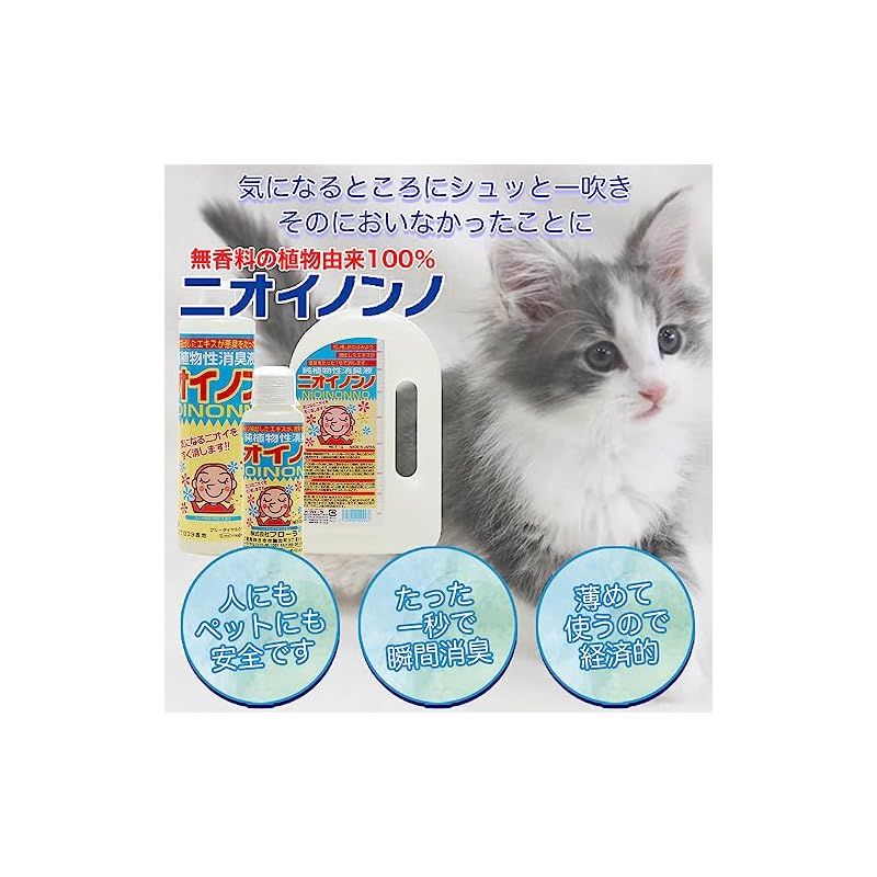 フローラ Flora