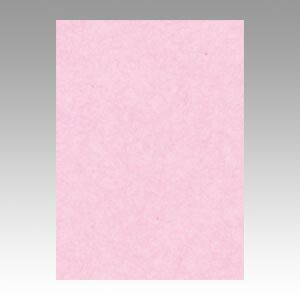 （まとめ） 色画用紙 文運堂 ニューカラーＲ 桜 4NCR-218 4954022642181 1冊【×5セット】